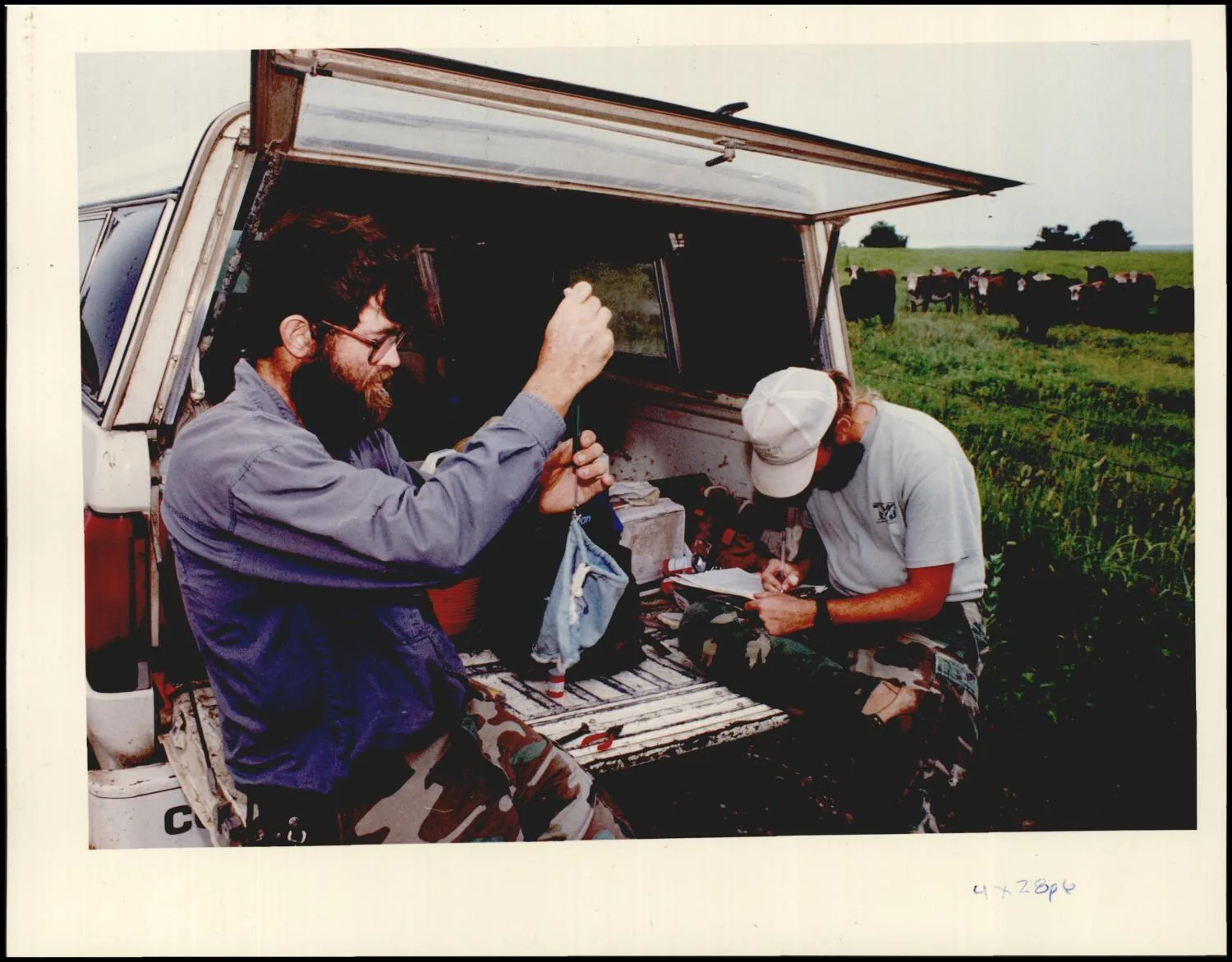 Photograph used for a story in the Daily Oklahoman newspaper. Caption: "Gary Cressy, left, and Dan Wolfe band barn swallows near ranchland in Osage County."